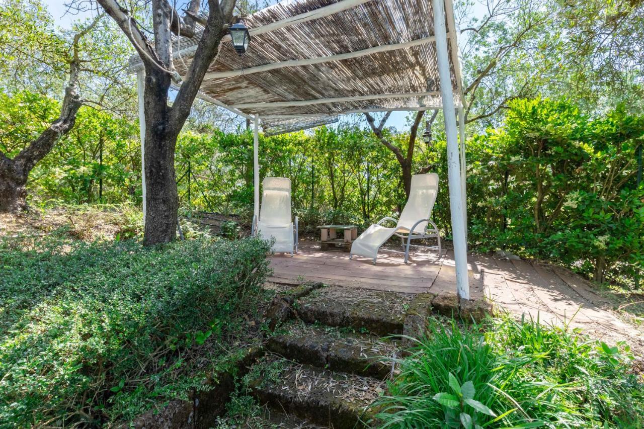 La Casa Medioevale Bed & Breakfast Lamporecchio Luaran gambar