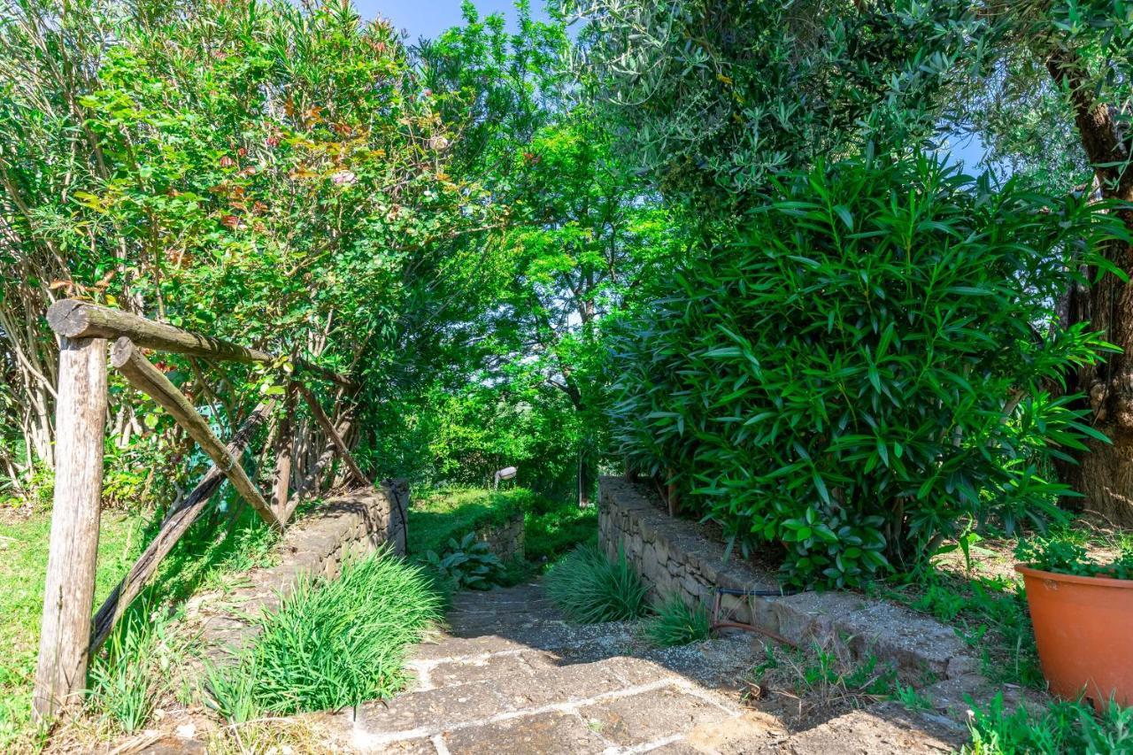 La Casa Medioevale Bed & Breakfast Lamporecchio Luaran gambar